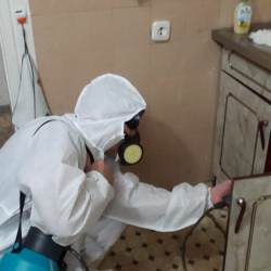 Дезинфекция от муравьев в квартире Румянцево метро Москвы